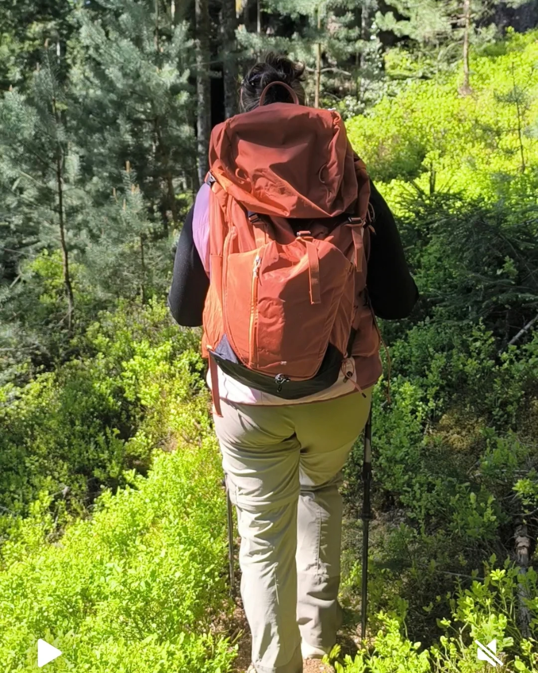 Sandrine Garcia de dos, sac à dos, sur un sentier en forêt